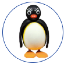 pingi