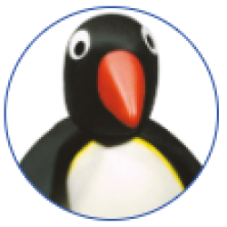 pingo